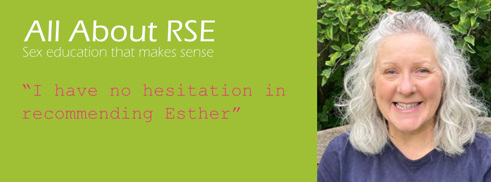 masthead for All About RSE